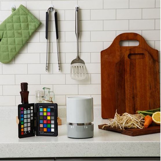 Sweet and sour multi-purpose vegetable dehydrator