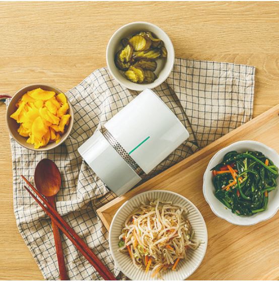 Sweet and sour multi-purpose vegetable dehydrator