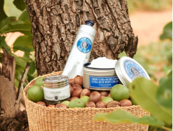 Loxitane Shea Butter Hand Cream + Lip Balm Stick Duo Set